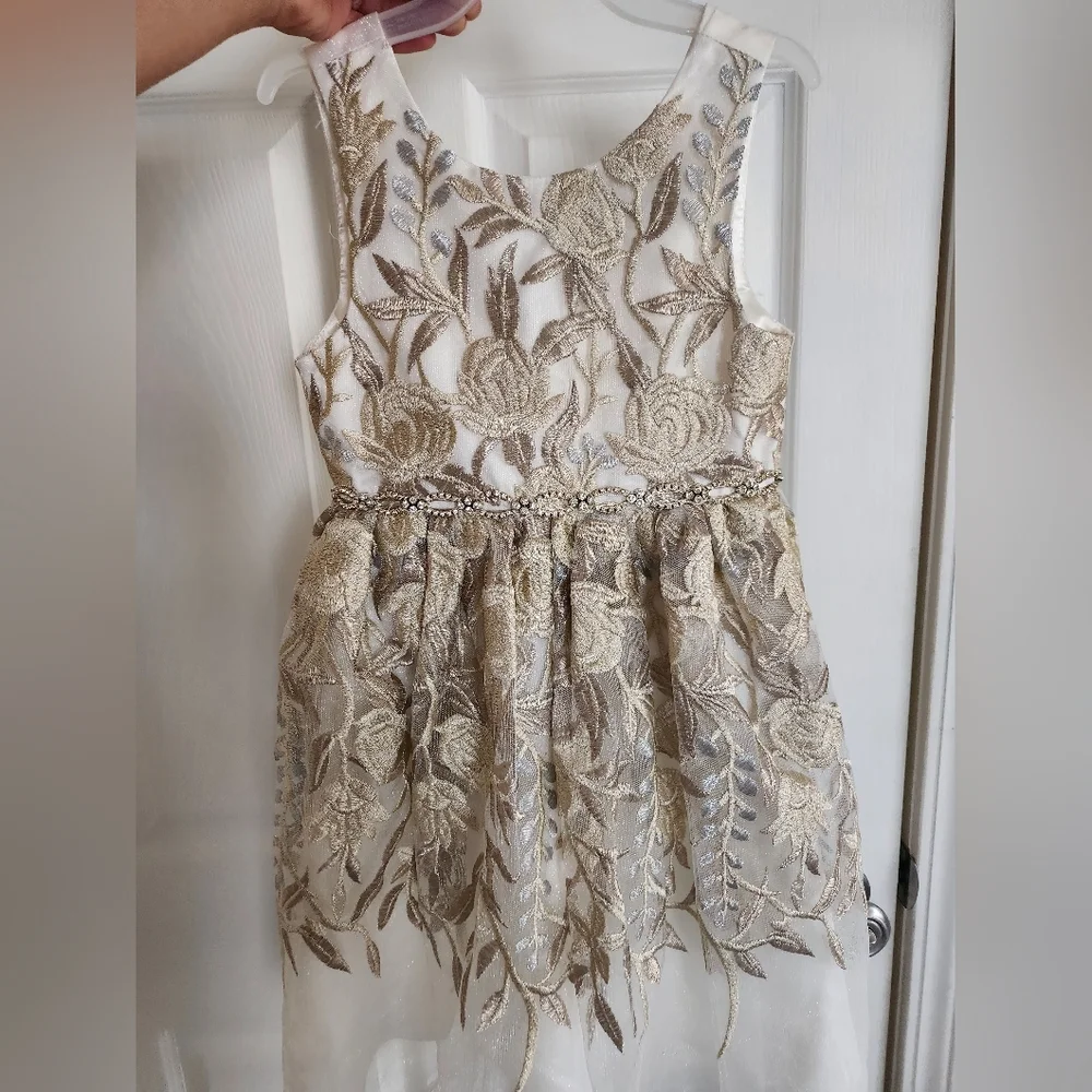 American princess party girls dress. - Picture 1 of 7